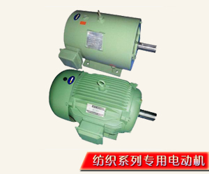 紡織系列專用電動機(jī)